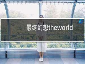 最终幻想theworld