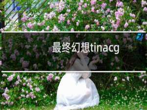 最终幻想tinacg