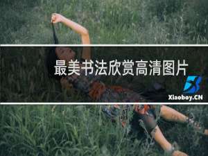 最美书法欣赏高清图片