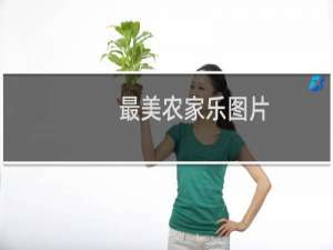 最美农家乐图片