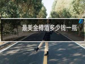 最美金樽酒多少钱一瓶