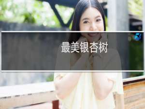 最美银杏树
