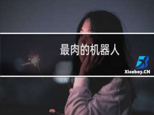 最肉的机器人