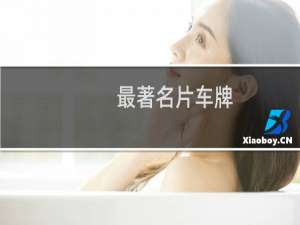 最著名片车牌