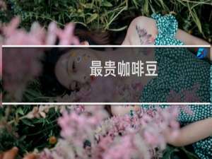 最贵咖啡豆