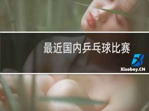 最近国内乒乓球比赛