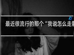 最近很流行的那个“我说怎么走散了，原来是起风了……”这段话有什么出处吗？什么梗