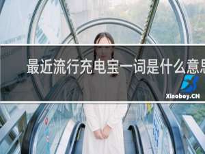 最近流行充电宝一词是什么意思