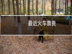 最近火车票贵