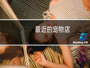 最近的宠物店