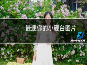 最迷你的小砚台图片