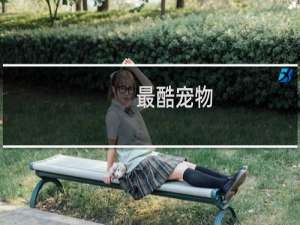 最酷宠物