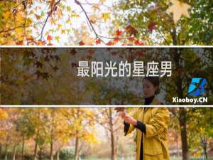 最阳光的星座男