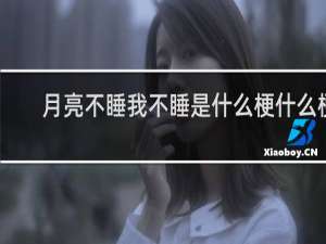 月亮不睡我不睡是什么梗什么梗