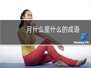 月什么星什么的成语