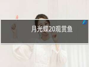 月光蝶 观赏鱼(关于月光蝶 观赏鱼的简介)