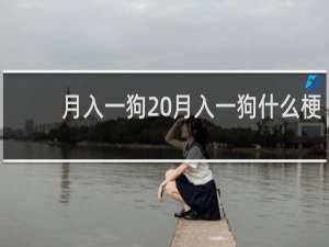 月入一狗 月入一狗什么梗