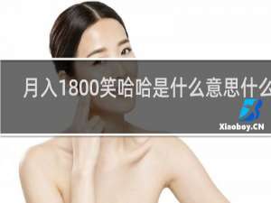 月入1800笑哈哈是什么意思什么梗