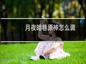 月夜暗巷原神怎么调
