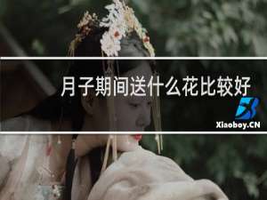 月子期间送什么花比较好