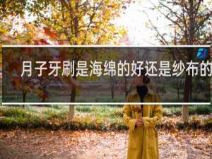 月子牙刷是海绵的好还是纱布的好