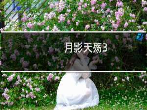 月影天殇3.2攻略