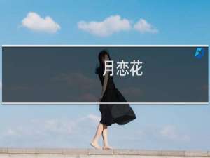 月恋花(关于月恋花的简介)