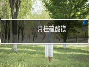 月桂硫酸镁(关于月桂硫酸镁的简介)