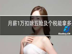 月薪1万扣除五险及个税能拿多少