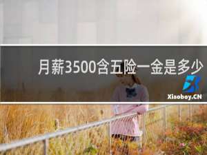 月薪3500含五险一金是多少