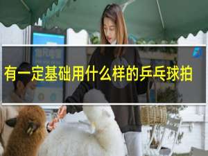 有一定基础用什么样的乒乓球拍