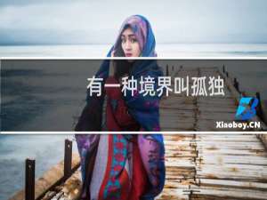 有一种境界叫孤独(关于有一种境界叫孤独的简介)
