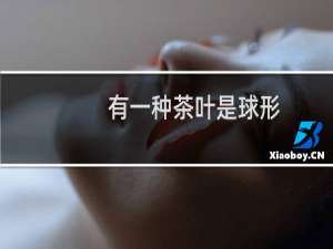 有一种茶叶是球形