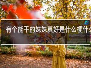 有个能干的妹妹真好是什么梗什么梗
