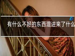 有什么不好的东西混进来了什么梗