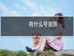 有什么号股票