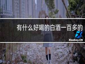 有什么好喝的白酒一百多的