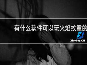 有什么软件可以玩火焰纹章的