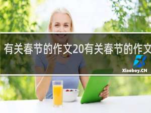 有关春节的作文 有关春节的作文范文