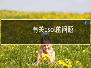 有关csol的问题