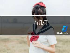 有几何(关于有几何的简介)