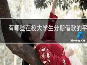 有哪些在校大学生分期借款的平台