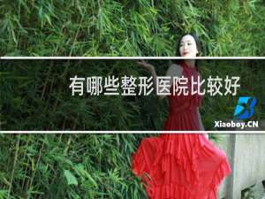 有哪些整形医院比较好
