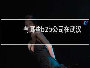 有哪些b2b公司在武汉