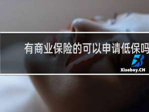 有商业保险的可以申请低保吗