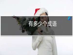 有多少个成语