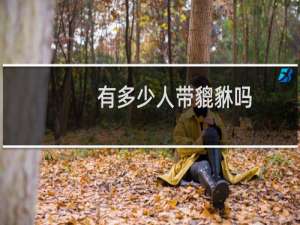 有多少人带貔貅吗