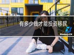 有多少钱才能投资移民