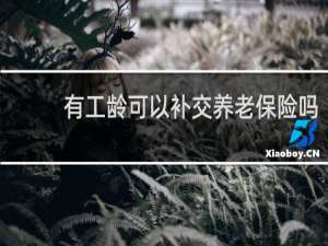 有工龄可以补交养老保险吗