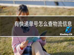 有快递单号怎么查物流信息